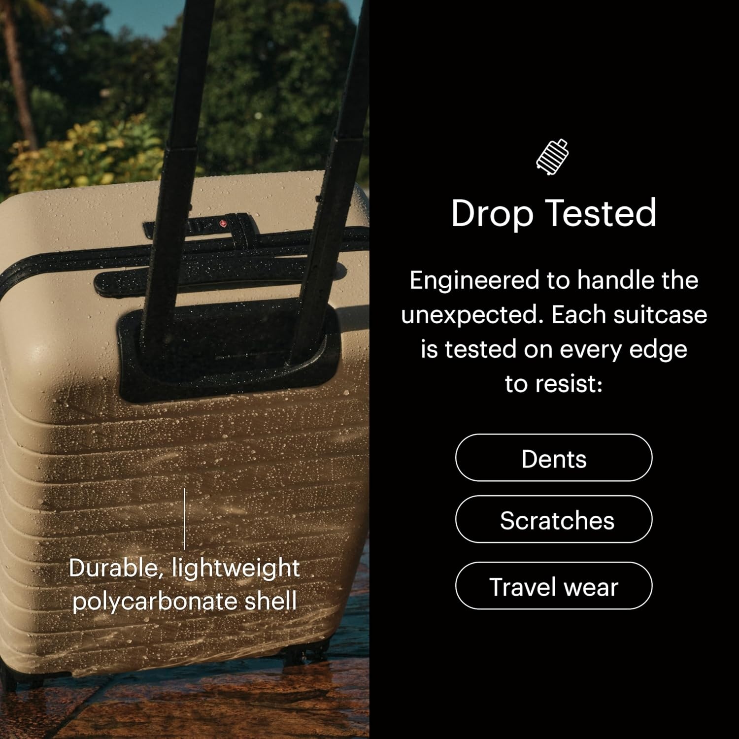 image:imageAway Amazon Exclusive CarryOn Luggage 22Inch Lightweight Hardside Suitcase with 360 Spinner Wheels Interior Compression System TSAApproved Lock Palm GreenJet Black